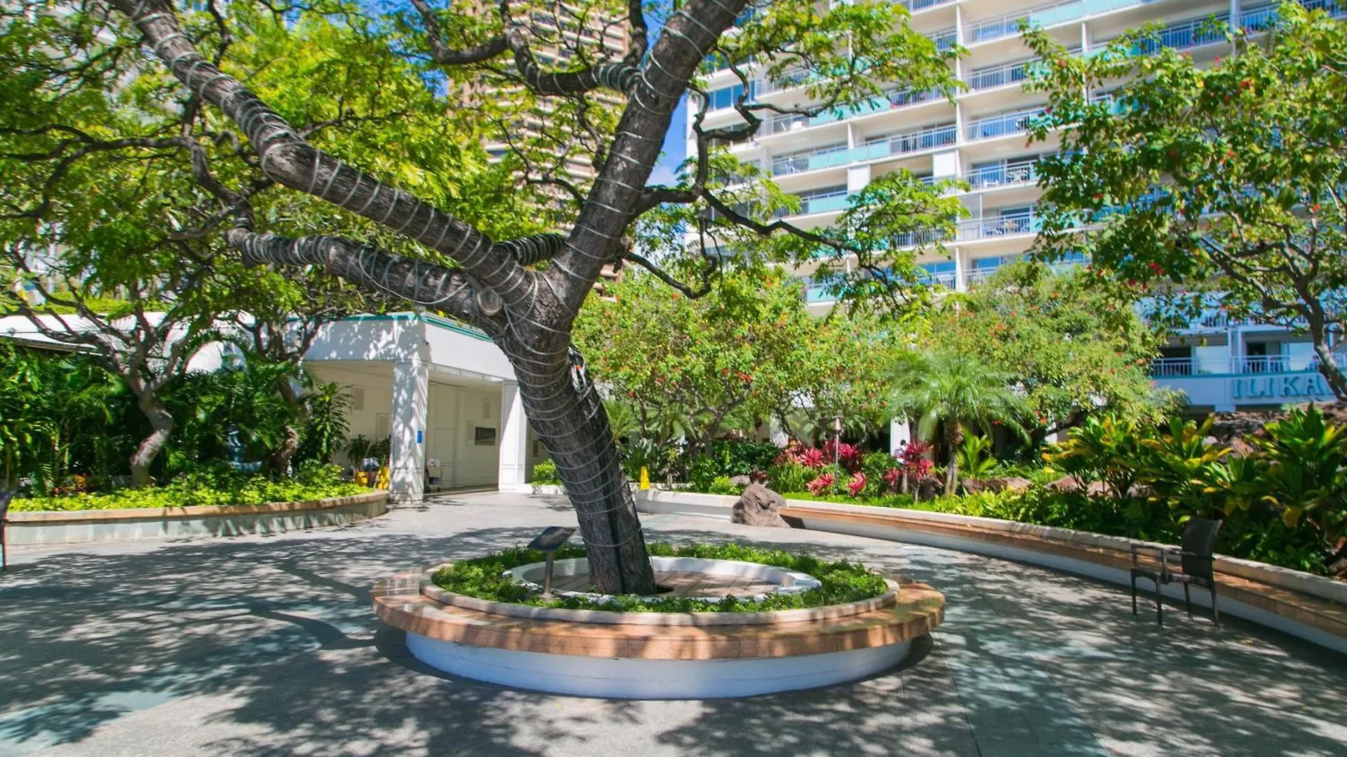 Ilikai Tower 1536 Lagoon View 1Br Honolulu 0*,